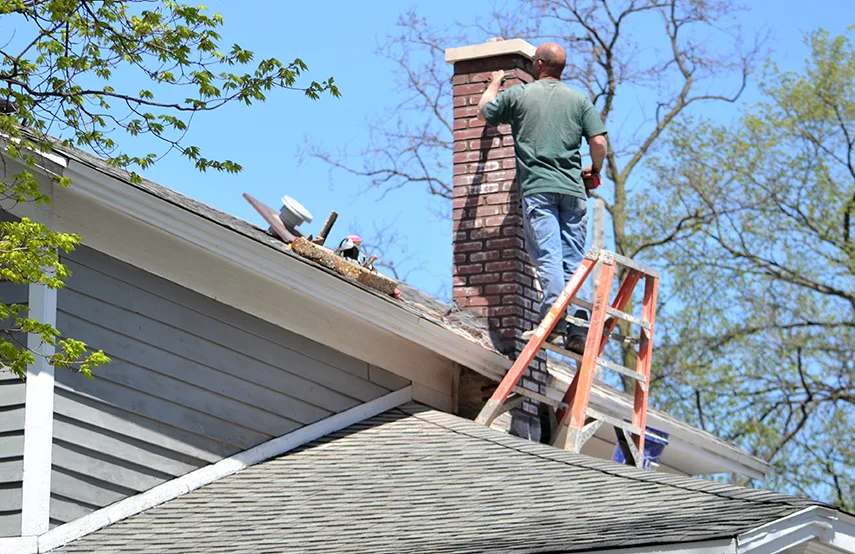 Chimney & Fireplace Inspections Services in Royal Palm Beach, FL
